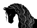 Horse silhouette