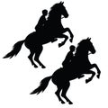 Silhouette of a horseman on a horse