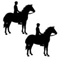 Silhouette of a horseman on a standing horse