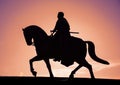 Illustration of a silhouette of a man on a horse on a pink background