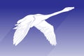 Illustration of silhouette swan vector icon. flying swan with shadow sign on blue background. swan icon for web and app.