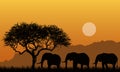 Illustration of silhouettes of mountain landscape of african safari with tree, grass and three elephants. Below the orange sky