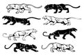 Illustration of silhouettes of a panther in profile. Vector set.