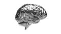 Silver brain illustration 3d render Royalty Free Stock Photo