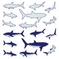 Illustration of a simple shark