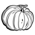 Illustration of single round whole orange pumpkin.