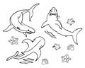 Illustration, sketch, drawn set of sharks and killer whales. Marine animals for coloring.