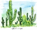 Illustration sketch Landmark big tall cactus