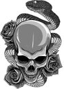 vector illustration of skull, roses and snake Royalty Free Stock Photo