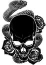 vector illustration of skull, roses and snake Royalty Free Stock Photo