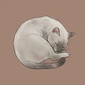 Illustration of a sleeping cat curled into a tight circle on a brown background. The cat Royalty Free Stock Photo