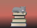 Sleepy gray cat lying on a pile of multicolored books Royalty Free Stock Photo