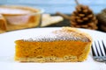 Illustration of a Slice of Pumpkin Pie for the Concept of Thanksgiving Royalty Free Stock Photo