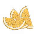 Illustration of a sliced lemon on a white background Royalty Free Stock Photo