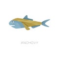 Illustration of small anchovy. Sea fish. Marine creature. Ocean life theme. Flat vector icon with texture
