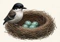 Illustration of a small bird perched beside a nest containing three blue, speckled eggs. The bird Royalty Free Stock Photo