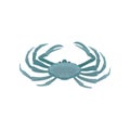 Blue crab with five pairs of legs. Marine animal with claws. Sea creature. Flat vector for postcard or advertising flyer