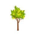 Flat vector icon of small tree with ripe lemons and green foliage. Yellow citrus fruit. Agricultural plant Royalty Free Stock Photo