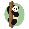 Giant panda on a tree Royalty Free Stock Photo