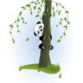 Illustration of smiling giant panda climbing a tree. Cute panda sitting on a tree holding on to the trunk.