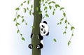 Illustration of smiling giant panda climbing a tree. Cute panda sitting on a tree holding on to the trunk.