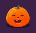 Illustration of a smiling pumpkin Royalty Free Stock Photo