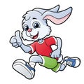 Smiling rabbit jogging