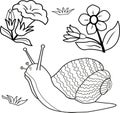 Coloring book. Cartoon vector snail, flowers, and grass. Cute snail illustration
