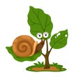 Illustration of snail on tree Royalty Free Stock Photo