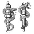 Illustration of snake on car spark plug. Design element for poster, card, banner, sign. Royalty Free Stock Photo