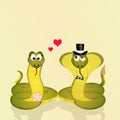 Snakes couple in love