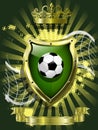 Soccer ball on background of the shield Royalty Free Stock Photo