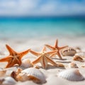 Shells and starfishes in a beach, blurred background. Royalty Free Stock Photo