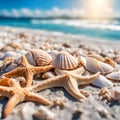 Shells and starfishes in a beach, blurred background. Royalty Free Stock Photo