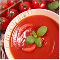 Illustration of a soup of tomatoes Royalty Free Stock Photo