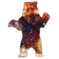 Space Animal Bear