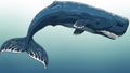 Illustration of a sperm whale Physeter macrocephalus against a gradient blue Royalty Free Stock Photo