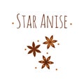 Illustration. Spice. Star anise. Badian.