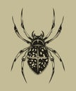 Illustration of spider