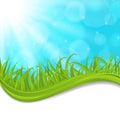 Spring natural card with green grass Royalty Free Stock Photo
