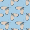 Illustration on a square background - stylized moths - graphics. Summer, insects, unbearable ease of life