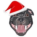 Illustration Staffordshire bull terrier with red Santa hat Royalty Free Stock Photo