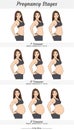 Pregnant woman with different stages of pregnancy. Vector illustration.