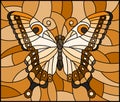 Stained glass illustration with butterfly ,monochrome tone brown