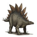 Dinosaur known for its distinctive back plates and spiked tail. The Royalty Free Stock Photo