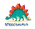 Illustration of stegosaurus. Prehistoric extinct dinosaur. Jurassic world animals. Isolated drawing on white background. Print for