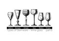 Illustration of Stemware types