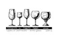 Illustration of Stemware types Royalty Free Stock Photo