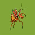 Illustration sticker of a praying mantis