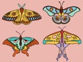 Illustration of a sticker from the 1970s set. Collection of butterflies and moths. Bright memorable design.